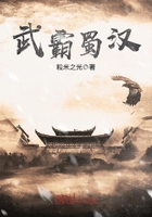 《武霸蜀汉》