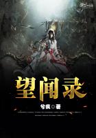 《望闻录》