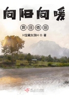 《向阳向暖异日依旧》