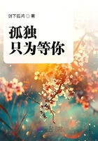 《孤独只为等你》