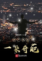 《房产界的一朵奇葩》