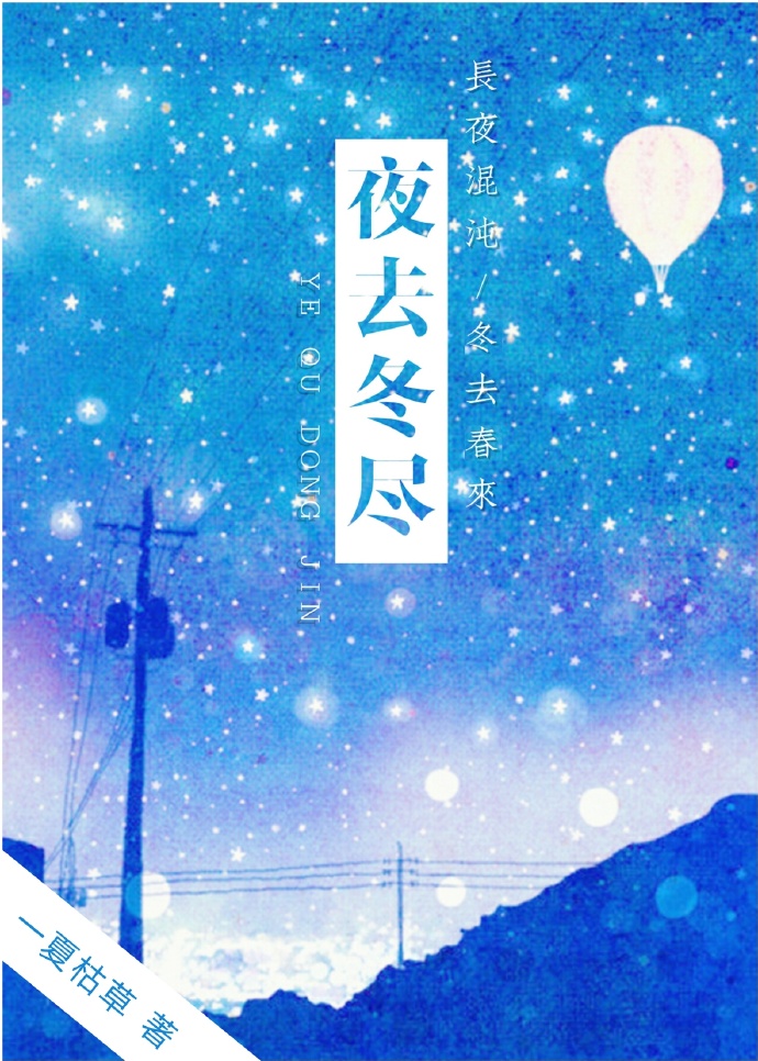 《夜去冬尽》