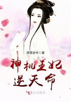 《神机王妃逆天命》