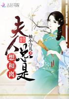 《夫人总是想和离》