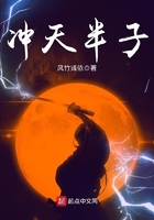 《冲天半子》