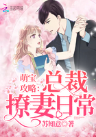 《萌宝攻略：总裁撩妻日常》