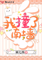 《我撞了南墙》