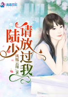 《陆少请放过我》