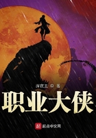 《职业大侠》
