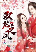 《双龙之凤》