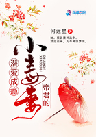 《帝君的小毒妻》