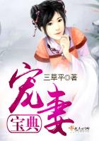 《宠妻宝典》