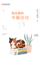《你是我的半截诗词》