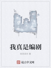 《我真是编剧》