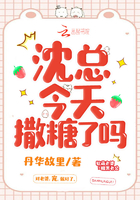 《沈总今天撒糖了吗》