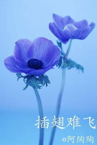 《十品潜力武强》