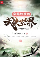 《穿越纬度的武侠世界》