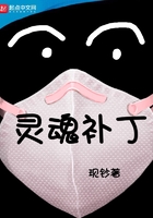 《灵魂补丁》