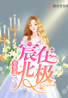《重生之宸在北极》