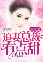 《重生之追妻总裁有点甜》