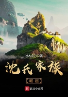 《沈氏家族崛起》