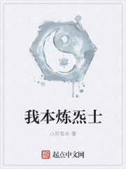 《我本炼炁士》