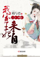 《我家王妃来自二十一世纪》