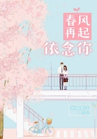《春风再起依念你》