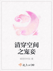 清穿空间之宠妾