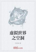 《虚拟世界之空洞》