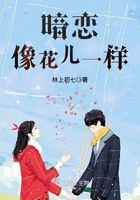 《暗恋像花儿一样》