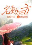 《名动四方[综武侠]》