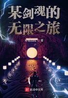 《某剑魂的无限之旅》