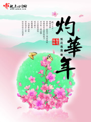 《灼华年》
