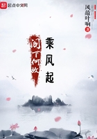 《阁下何故乘风起》