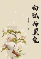 《白狐与黑兔》