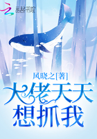 《大佬天天想抓我》