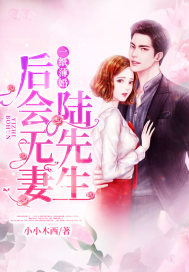 《一纸薄婚：陆先生，后会无妻》