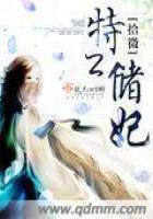 《特工储妃》