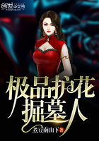 《极品护花掘墓人》
