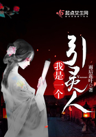 《我是一个引灵人》