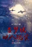 《当梦境映入现实》