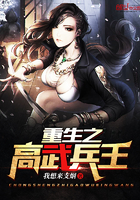 《重生之高武兵王》