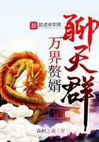 《万界赘婿聊天群》