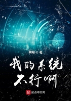 《我的系统不行啊》