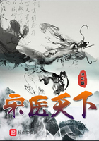 《宋医天下》