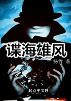 《谍海雄风》