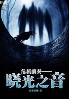 《危机前奏——晓光之音》