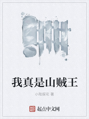 《我真是山贼王》