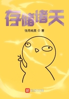 《存储诸天》